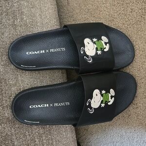 Coach peanuts slides